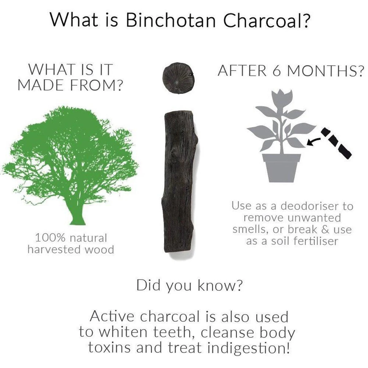 Black + Blum Binchotan Active Charcoal For Eau Good Water Bottles 4-pack - Afbeelding 5